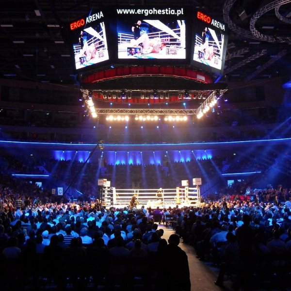 ldlc arena à lyon